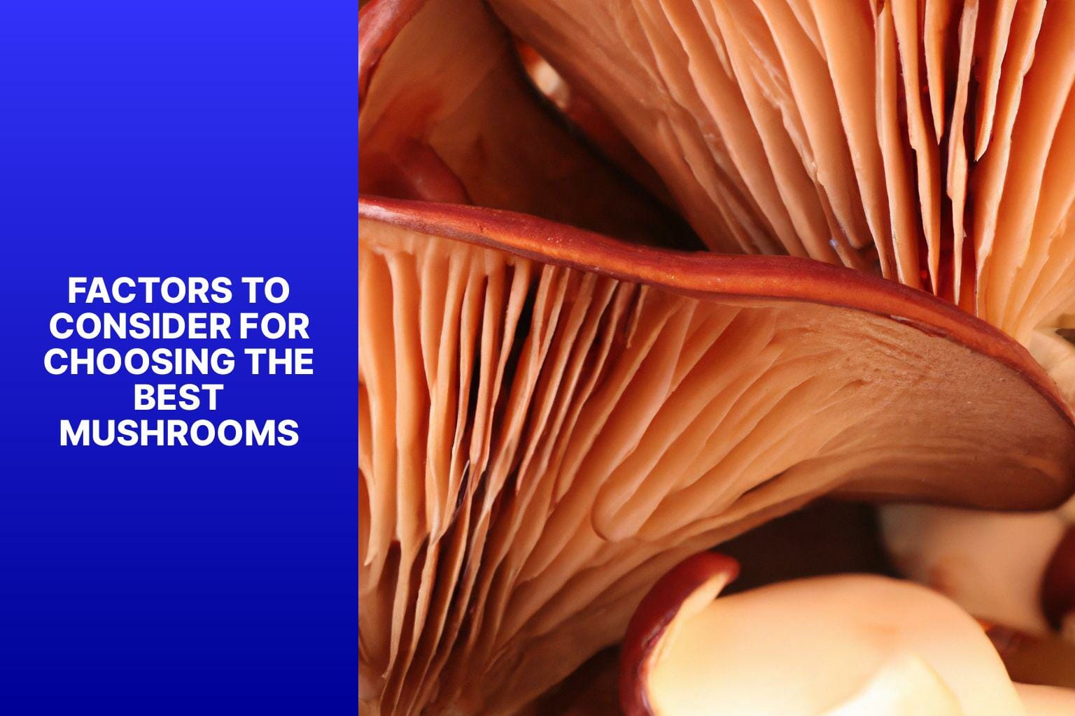 Factors to Consider for Choosing the Best Mushrooms - best mushrooms to eat 