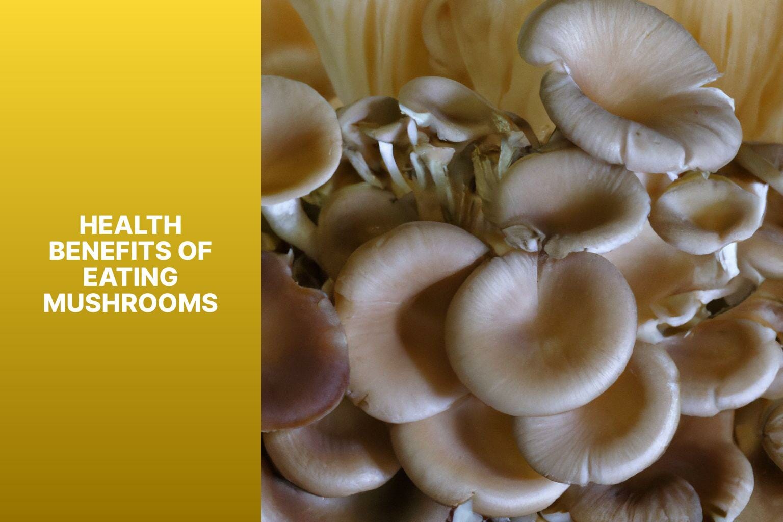 Health Benefits of Eating Mushrooms - best mushrooms to eat 