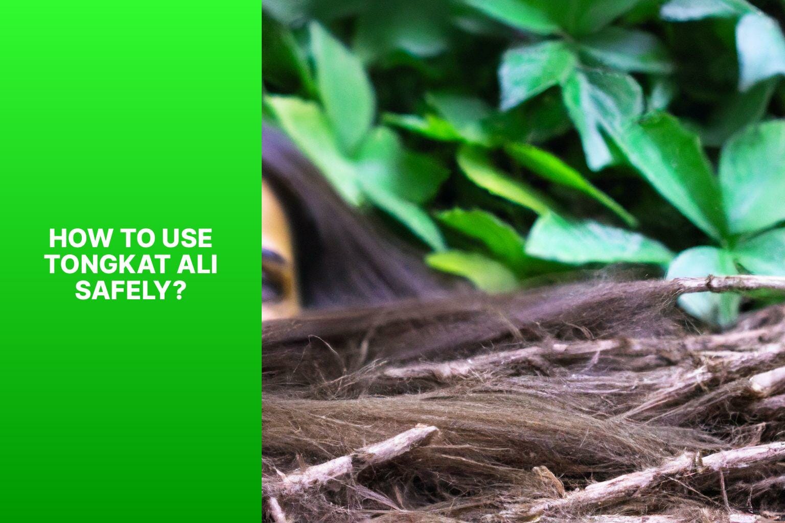 How to Use Tongkat Ali Safely? - Does Tongkat Ali Cause Hair Loss? 