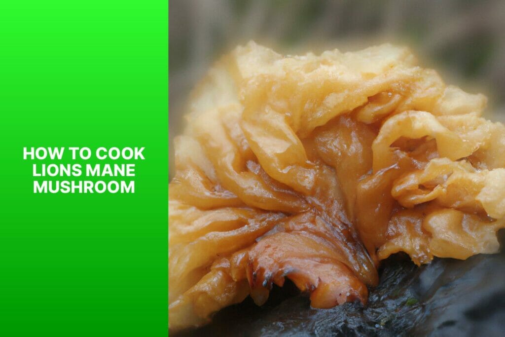 How to cook lion's mane mushrooms?
