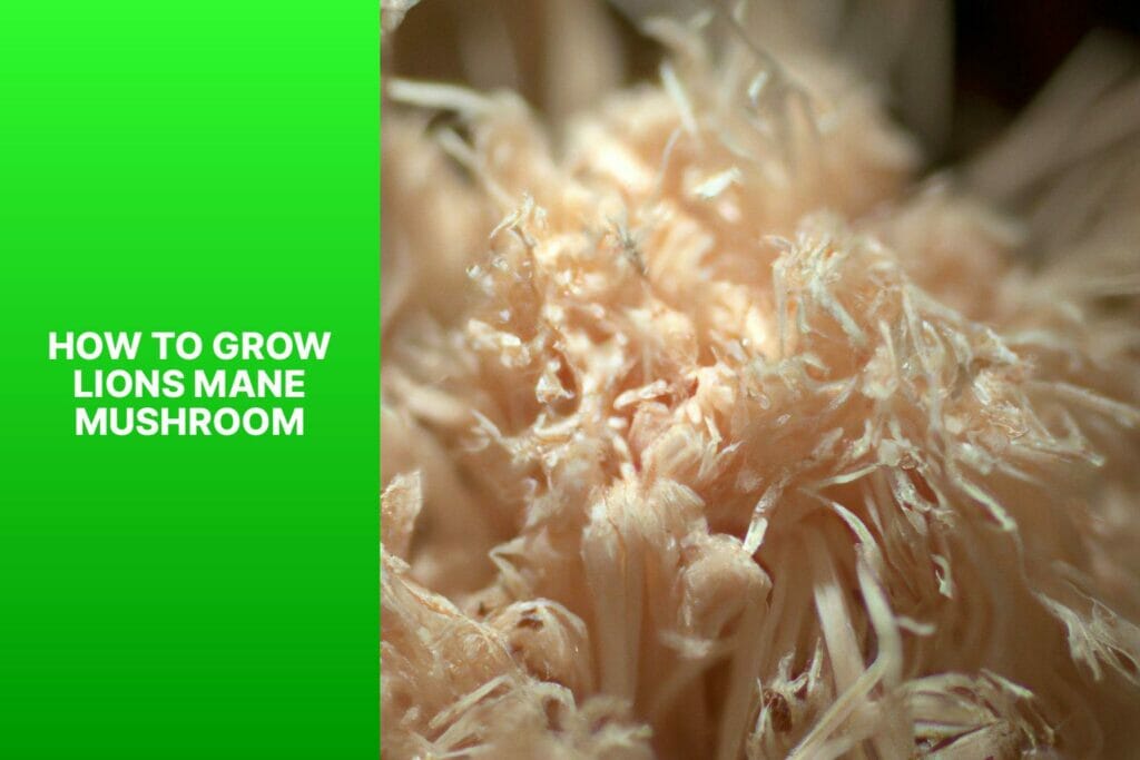 How to grow Lion's Mane Mushroom and make your hair flourish.