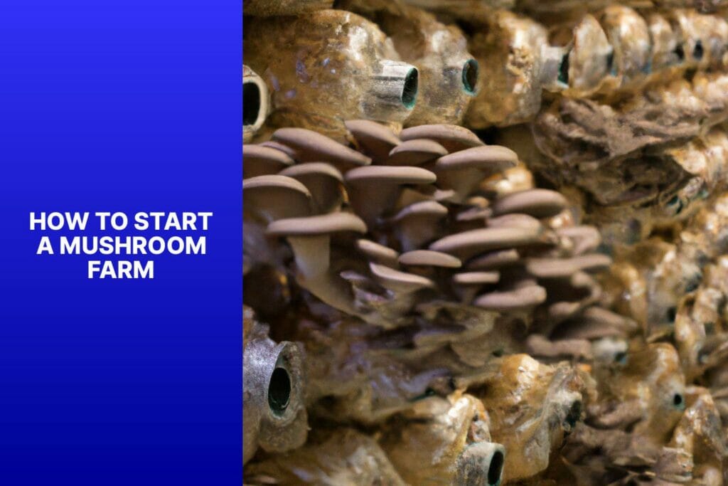 Starting a Mushroom Farm Guide.