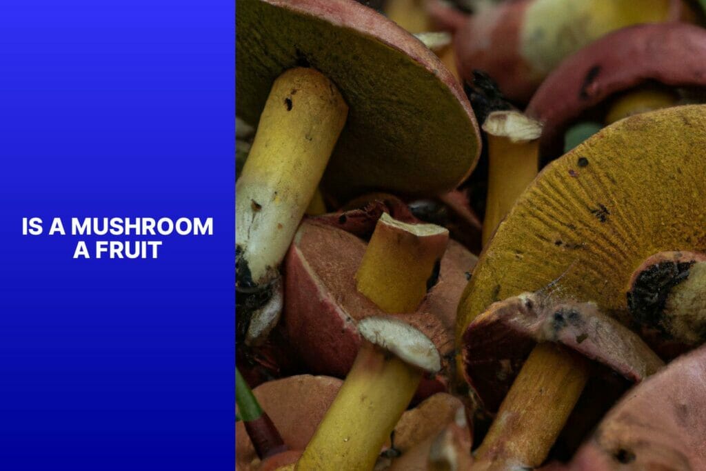 Mushroom, fruit.
